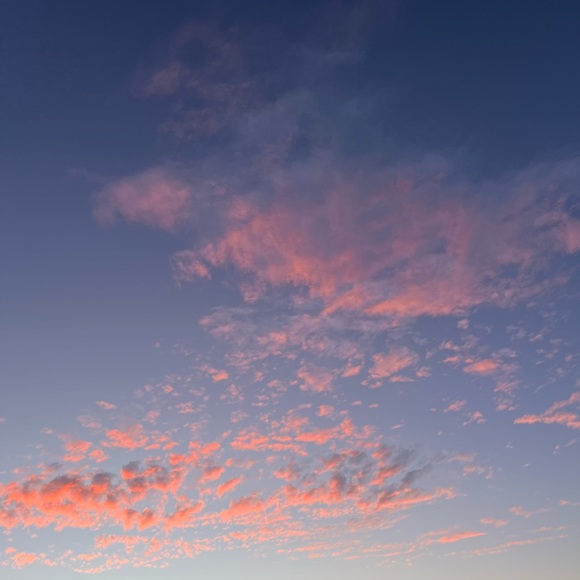 Meet your Posher, Fiona - Picture 1 of 1